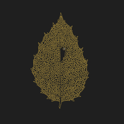 Between Leaves | Forestal - DEAR JOHN LETTER