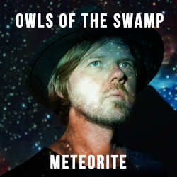 OWLS OF THE SWAMP - Meteorite